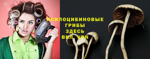 гидропоника Арсеньев