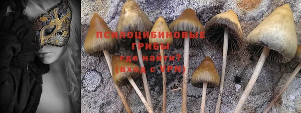 гидропоника Арсеньев