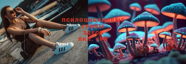 мяу мяу мука Армянск