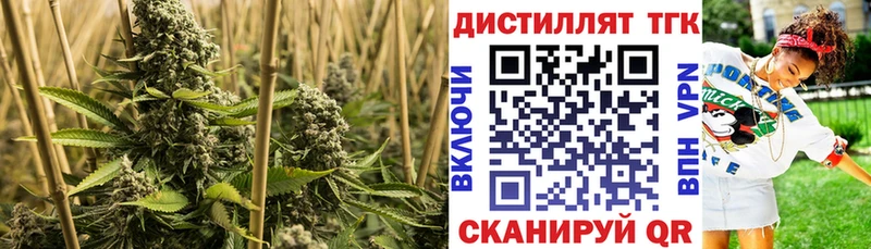 купить наркотики сайты  ОМГ ОМГ сайт  ТГК концентрат  Спасск-Дальний 