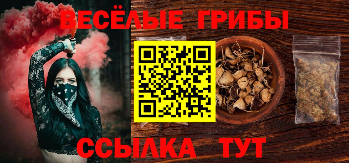Псилоцибиновые грибы Psilocybe Спасск-Дальний