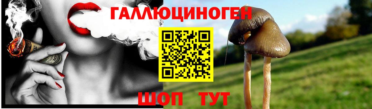 Псилоцибиновые грибы прущие грибы  Вход с VPN  Спасск-Дальний 