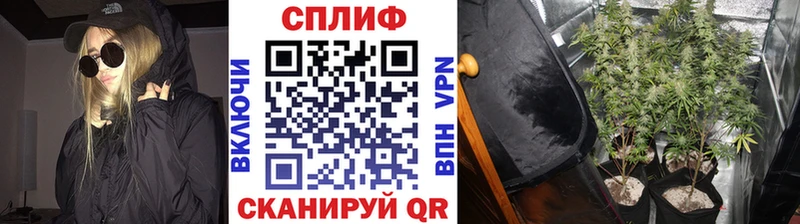 Конопля марихуана  Спасск-Дальний 
